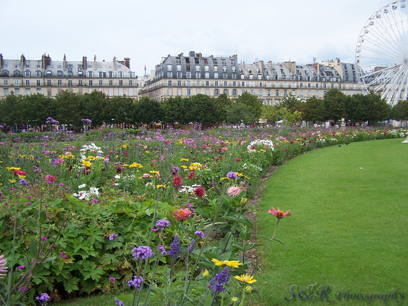 The Tuileries